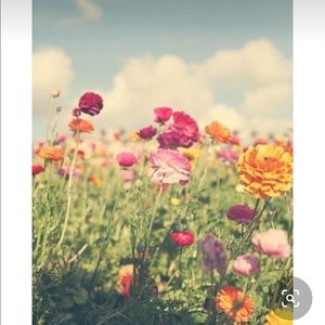 Meet your Posher, Tina